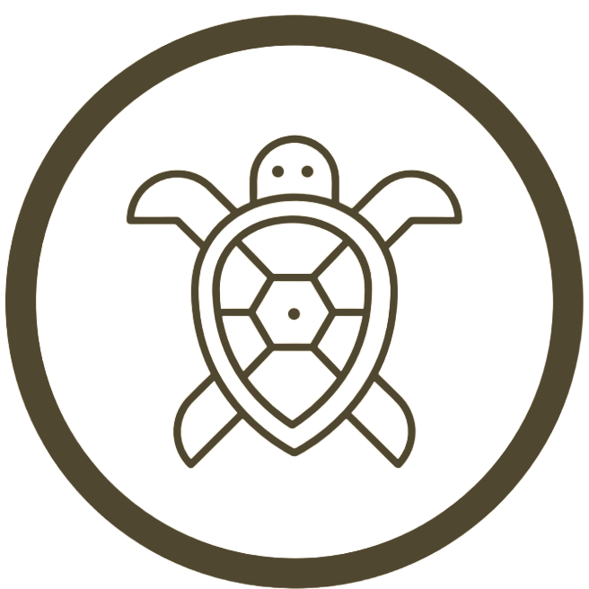 Turtle Icon